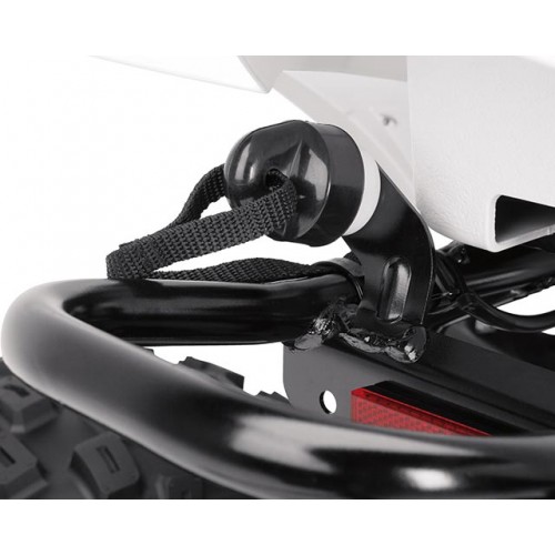 Engine Limiter and Tether Switch